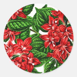 Sticker Rond Fleurs de gingembre rouge, imprimé vintage
