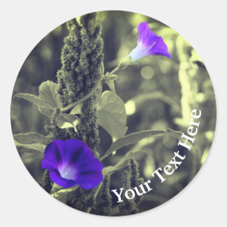 Sticker Rond Fleurs de gloire du matin personnalisées