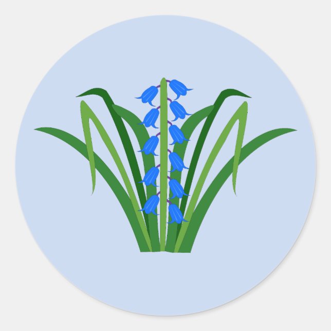 Sticker Rond Fleurs de Jacinthe Bleue Garçon Printemps (Devant)