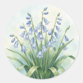 Sticker Rond Fleurs de Jacinthe Botanique Aquarelle