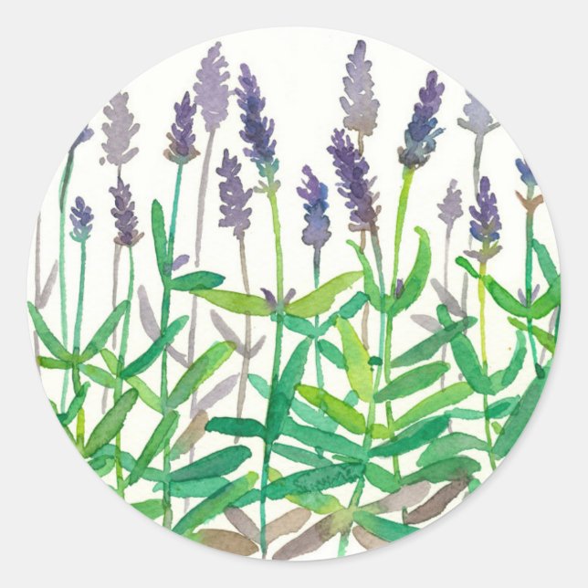 Sticker Rond Fleurs de lavande Aquarelle Botanique Herbes Art (Devant)