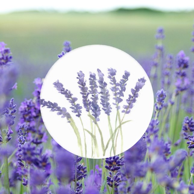 Sticker Rond Fleurs de lavande Aquarelle Florale pourpre (Créateur téléchargé)