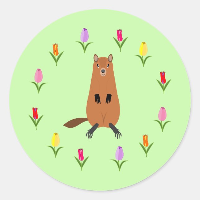 Sticker Rond Fleurs de marmotte et de tulipe mignonnes (Devant)