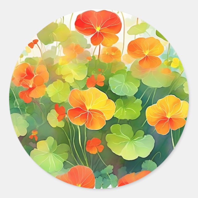 Sticker Rond Fleurs de Nasturtium vibrantes (Devant)