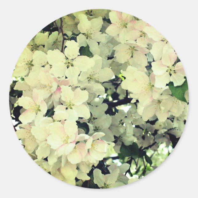 Sticker Rond Fleurs de printemps blanches (Devant)