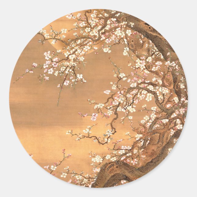 Sticker Rond Fleurs de prune rose et blanche au clair de lune,  (Devant)