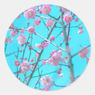Sticker Rond Fleurs de prunes (Suzhou, Chine)