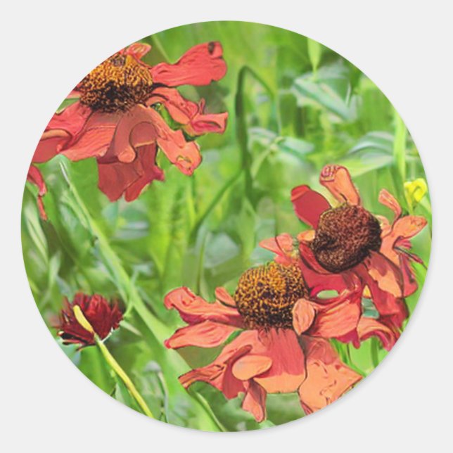 STICKER ROND FLEURS DE RUDBECKIA ROUGES (Devant)