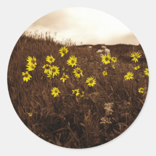 Sticker Rond Fleurs de soleil