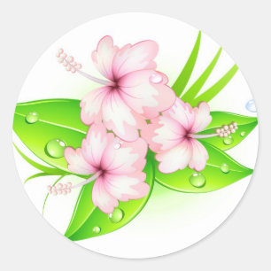 Sticker Rond fleurs d'hibiscus