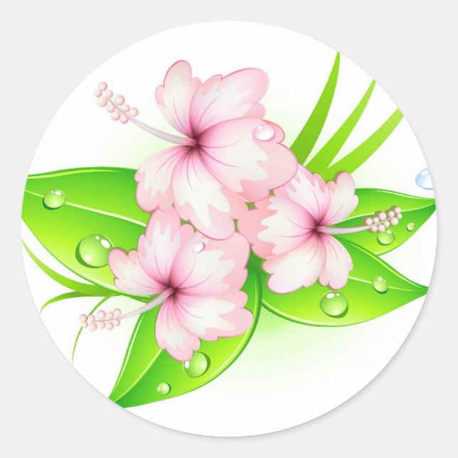 Sticker Rond fleurs d'hibiscus (Devant)