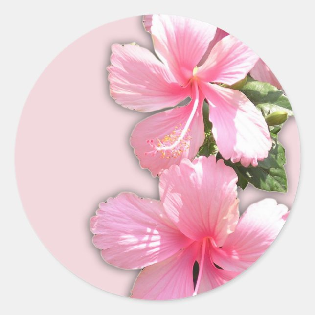 Sticker Rond Fleurs d'Hibiscus Hawaïens rose brillant (Devant)