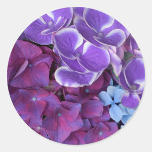 Sticker Rond Fleurs d'Hydrangée