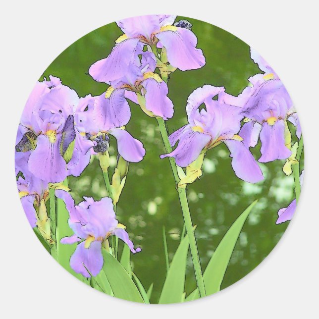 Sticker Rond Fleurs d'Iris (Devant)
