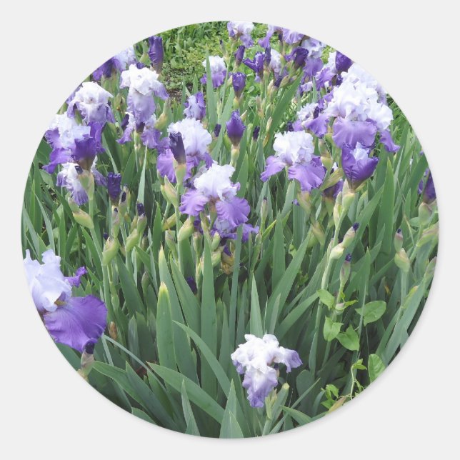 Sticker Rond Fleurs d'Iris (Devant)