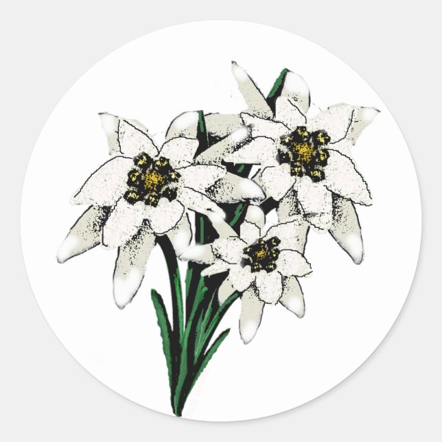 Sticker Rond Fleurs Edelweiss (Devant)