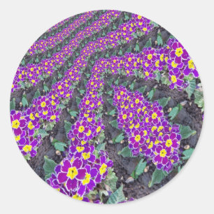 Sticker Rond Fleurs fractales