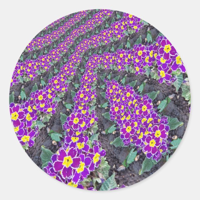 Sticker Rond Fleurs fractales (Devant)