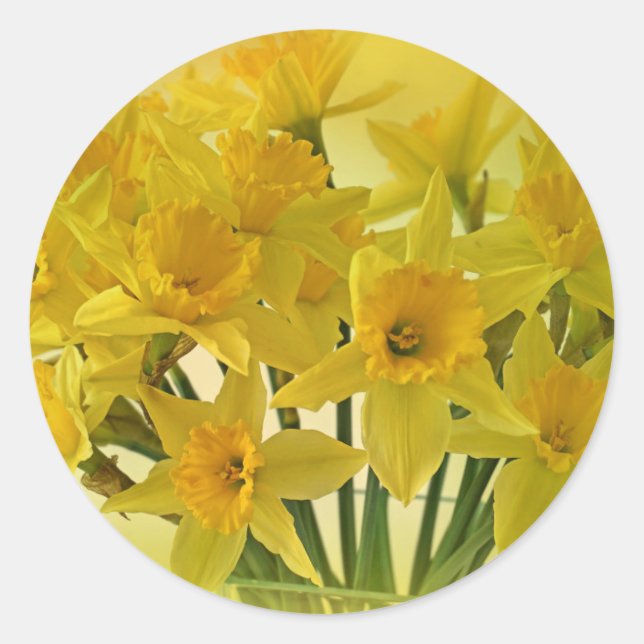 Sticker Rond Fleurs jaunes (Devant)