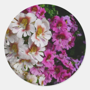 Sticker Rond Fleurs papillon rose blanc et violet