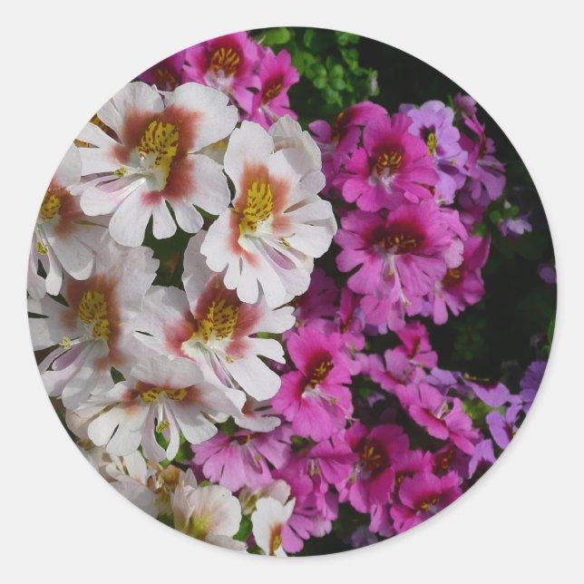 Sticker Rond Fleurs papillon rose blanc et violet (Devant)
