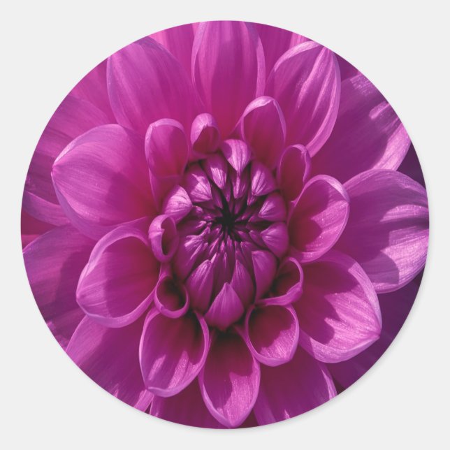 Sticker Rond Fleurs Romantiques Roses (Devant)