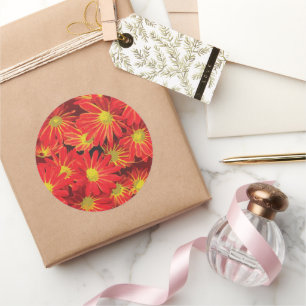 Sticker Rond Fleurs rouges et jaunes 1