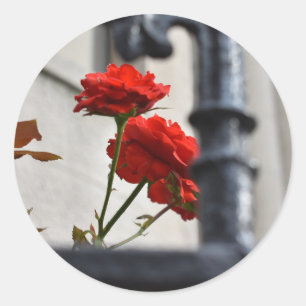 Sticker Rond Fleurs rouges Fer forgé Photographie de New York
