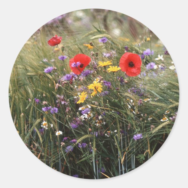 Sticker Rond Fleurs sauvages (Devant)