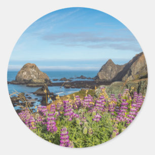 Sticker Rond Fleurs sauvages de lupin couvrant les collines