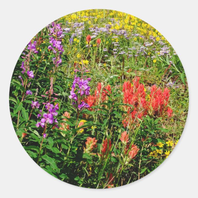 Sticker Rond Fleurs sauvages des Rocheuses (Devant)
