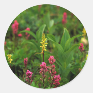 Sticker Rond Fleurs sauvages d'été envoyant une débauche de cou