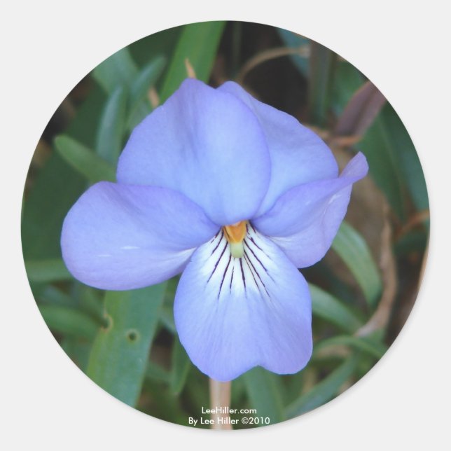 Sticker Rond Fleurs sauvages Oiseaux-Pied Violet IV Cadeaux de  (Devant)