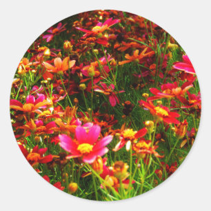 Sticker Rond Fleurs sauvages rose et jaune pâle