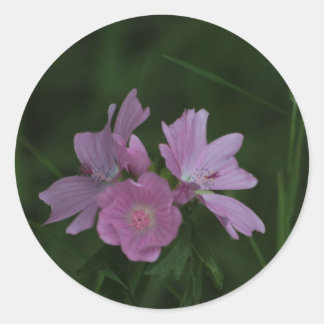Sticker Rond Fleurs sauvages roses dans l'herbe
