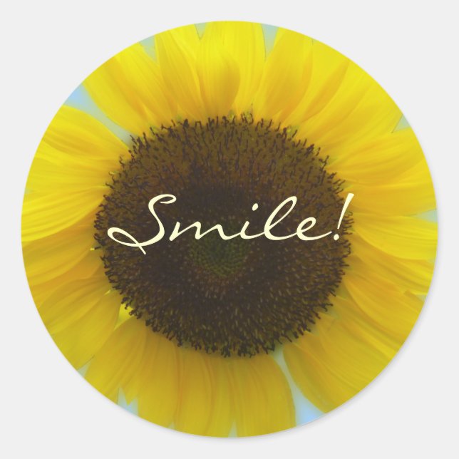 Sticker Rond Flora Photo - Tournesol brillant et joyeux (Devant)