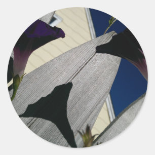 Sticker Rond Floral