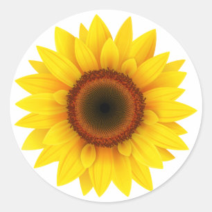 Sticker Rond Floral ,Fleur ,Jardin ,Chute des femmes , Tourneso