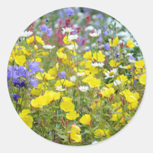 Sticker Rond Floral Fleur sauvage d'été coloré