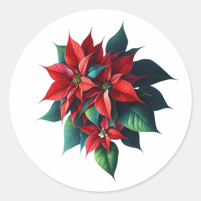 Sticker Rond Floral Poinsettia Christmas – Festive Holiday (Devant)