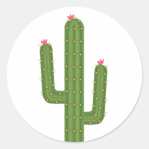 Sticker Rond Floral rose Aimer Vert Cactus Rose Fleurs