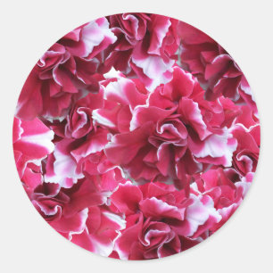 Sticker Rond Floral rouge