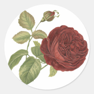 Sticker Rond Floral Vintage Rouge Bourgogne Rose - Mariage