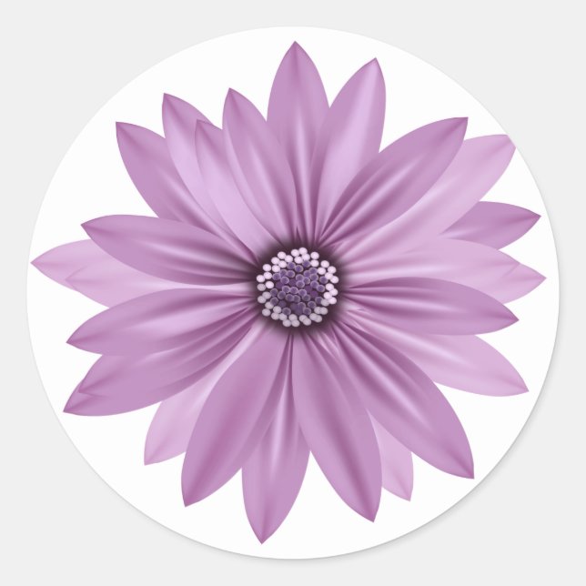 Sticker Rond Flore Merci violet Fleur marguerite - Lavande (Devant)