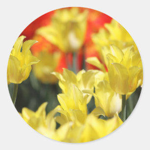 Sticker Rond Flore tombée Été Glow