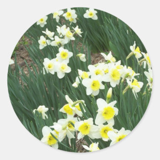 Sticker Rond flower