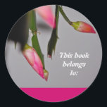 Sticker Rond Flower Cactus Christmas Bloom<br><div class="desc">Une usine de Cactus de Noël avec un texte séparé sur un autocollant. Le fond rose peut être changé si vous le souhaitez.</div>