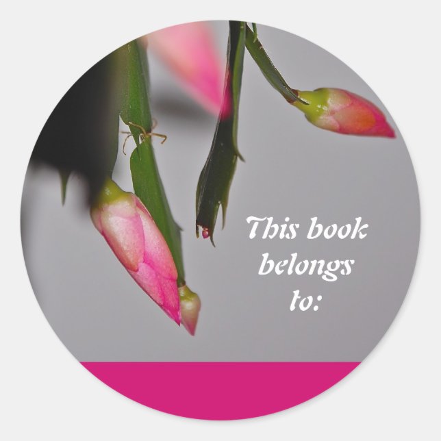 Sticker Rond Flower Cactus Christmas Bloom (Devant)