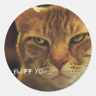 Sticker Rond Fluide de chat