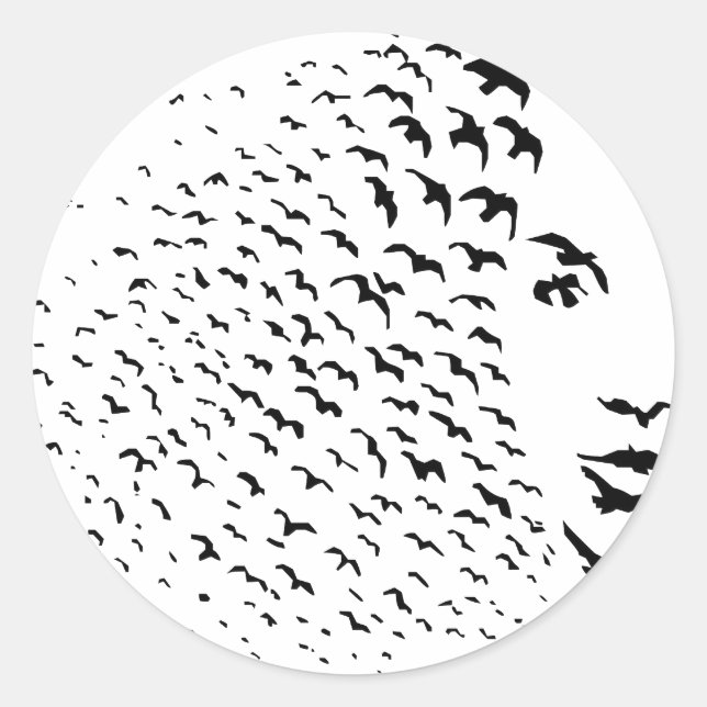 Sticker Rond Flying Crows ou Face Optique Illusion (Devant)